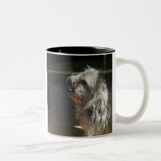 Tasse 2 Couleurs terrier de cairn