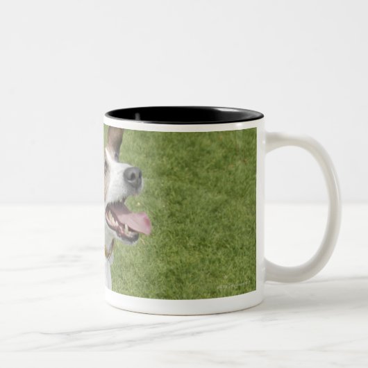 Tasse 2 Couleurs Terrier de Jack Russell sautant, vue élevée (Droit)