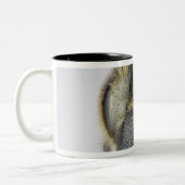 Tasse 2 Couleurs Tête d'abeille (Gauche)