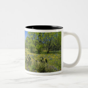 Tasse 2 Couleurs Texas, Texas Hill Country, Low vescie