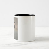 Tasse 2 Couleurs The Skating Minister (Centre)