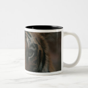 Tasse 2 Couleurs Tigre CUB