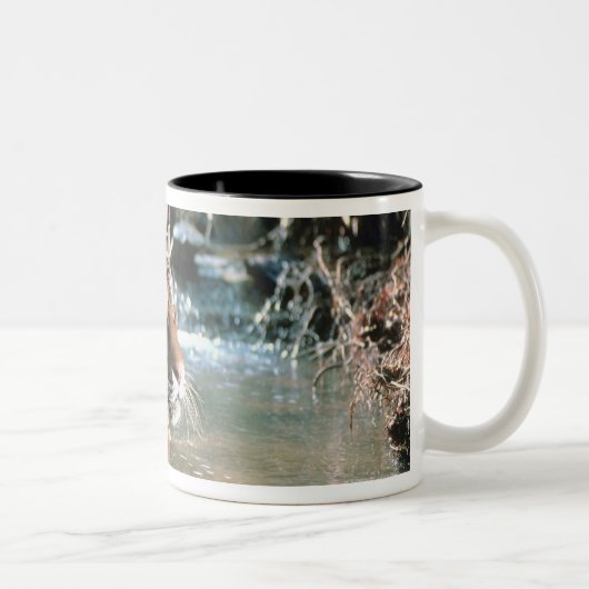 Tasse 2 Couleurs Tigre dans l'eau (Droit)