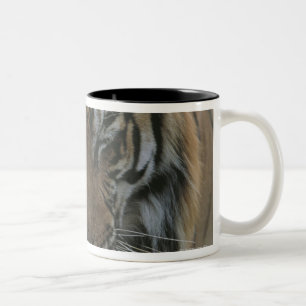 Tasse 2 Couleurs Tigre de sommeil
