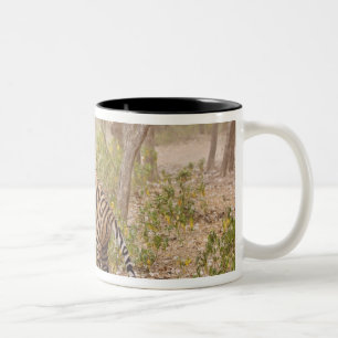 Tasse 2 Couleurs Tigre du Bengale royal grimpant dans l'arbre,