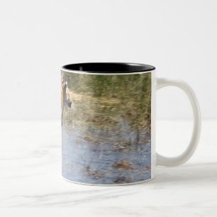 Tasse 2 Couleurs Tigre (Panthera le Tigre) fonctionnant par l'eau