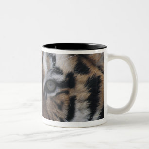 Tasse 2 Couleurs Tigre sibérien baîllant