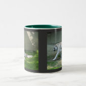 Tasse 2 Couleurs Tigres blancs (Centre)