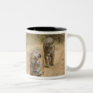 Tasse 2 Couleurs Tigres royaux du Bengale
