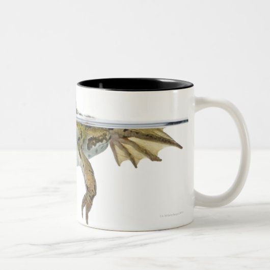 Tasse 2 Couleurs Tiré d'une grenouille comestible apprêtant devant (Droit)