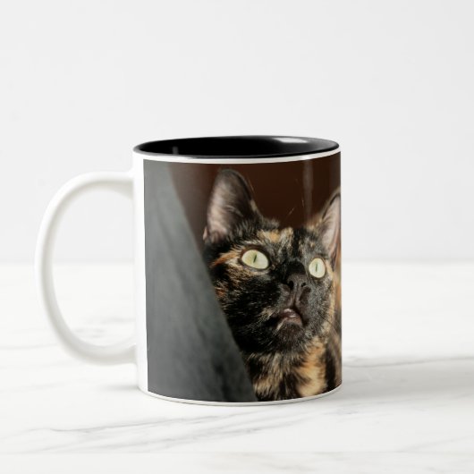 Tasse 2 Couleurs Tortitude (Gauche)