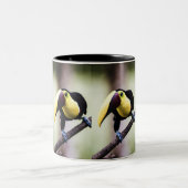 Tasse 2 Couleurs Toucan du Costa Rica (Centre)
