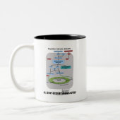 Tasse 2 Couleurs Toutes mes cellules passent par un cycle (la (Gauche)
