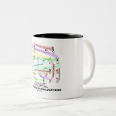 Tasse 2 Couleurs Translocations chromosomiques (Karyogramme) (Devant droit)