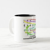 Tasse 2 Couleurs Translocations chromosomiques (Karyogramme) (Devant gauche)