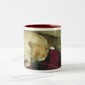 Tasse 2 Couleurs trio faisant une sieste (Centre)