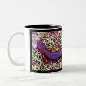 Tasse 2 Couleurs Triton (Gauche)
