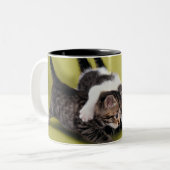 Tasse 2 Couleurs Trois chatons s'étreignant (Devant gauche)
