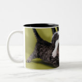 Tasse 2 Couleurs Trois chatons s'étreignant (Gauche)