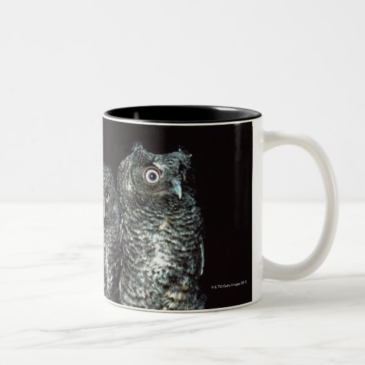 Tasse 2 Couleurs trois hiboux (Droit)