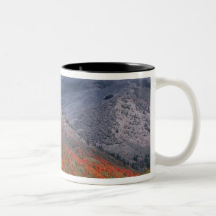 Tasse 2 Couleurs Trois saisons de feuillage, érables rouges et auto