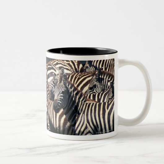 Tasse 2 Couleurs Troupeau de zèbres (Droit)