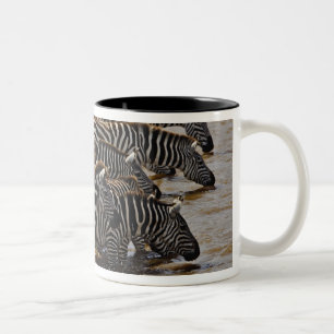 Tasse 2 Couleurs Troupeau de zèbres de Burchell buvant dans le Mara