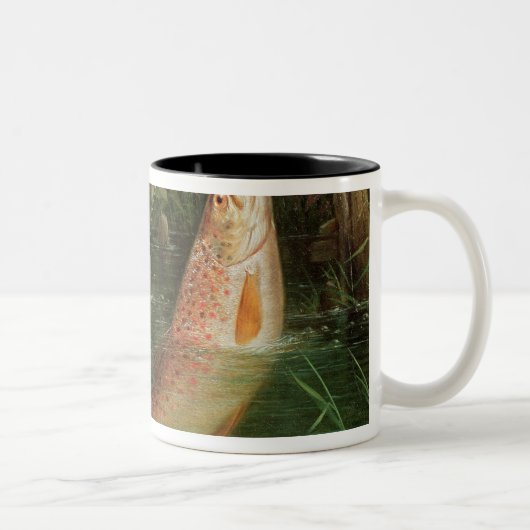 Tasse 2 Couleurs Truite chez Winchester (Droit)