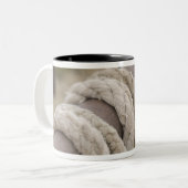 Tasse 2 Couleurs Tucson, Arizona : Cordes et hanrnesses utilisés (Devant gauche)