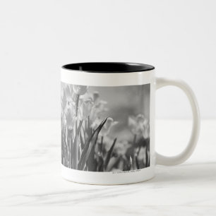 Tasse 2 Couleurs Tulipes en fleur