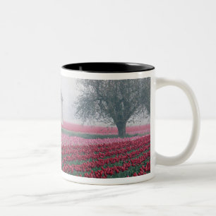 Tasse 2 Couleurs Tulipes rouges et roses saluent la journée dans un
