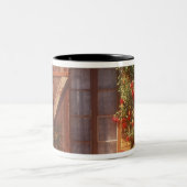 Tasse 2 Couleurs UE, France, Provence, Vaucluse, Apt. Maison 2 (Centre)