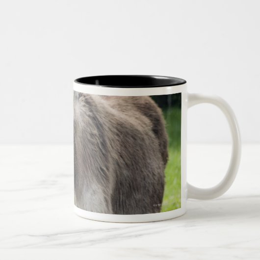Tasse 2 Couleurs Un âne (Droit)