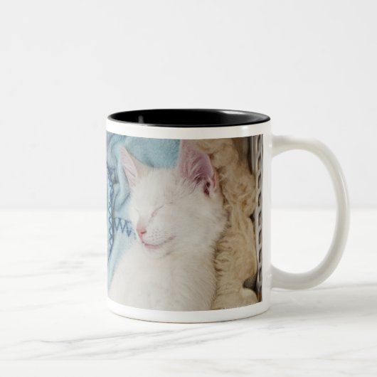 Tasse 2 Couleurs Un chat blanc dormant dans un panier de (Droit)