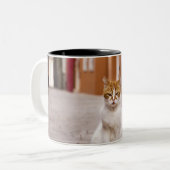 Tasse 2 Couleurs Un chat dans les rues de Burano, Italie. 2006. (Devant gauche)