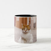 Tasse 2 Couleurs Un chat dans les rues de Burano, Italie. 2006. (Centre)