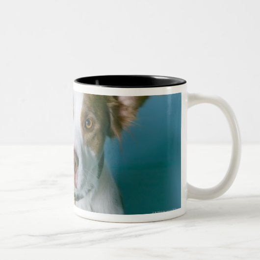 Tasse 2 Couleurs Un chien (Droit)