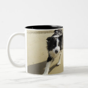 Tasse 2 Couleurs Un chien de border collie fonctionnant sur la