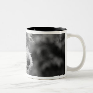 Tasse 2 Couleurs Un chien dehors