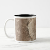 Tasse 2 Couleurs Un cratère à impact météorologique (Gauche)