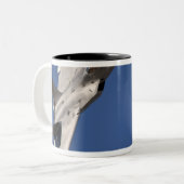 Tasse 2 Couleurs Un F-22 Raptor (Devant gauche)