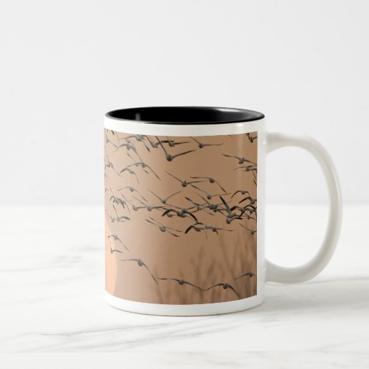 Tasse 2 Couleurs Un groupe de bernaches nonnettes migratrices, Grus (Droit)