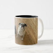 Tasse 2 Couleurs Un hot dog et un carlin ! (Devant droit)