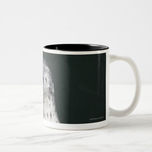Tasse 2 Couleurs Un joint de port (Droit)