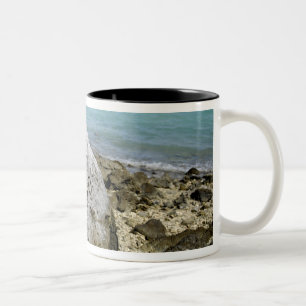 Tasse 2 Couleurs Un mémorial aux prisonniers de guerre sur l'île de