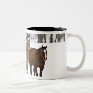 Tasse 2 Couleurs Un paysage hivernal de course