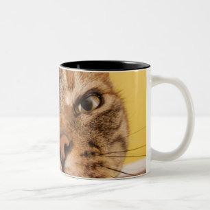 Tasse 2 Couleurs Un petit chat humoristique se repose sur un