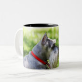 Tasse 2 Couleurs Un Schnauzer s'étendant dans l'herbe (Devant gauche)
