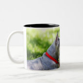 Tasse 2 Couleurs Un Schnauzer s'étendant dans l'herbe (Gauche)