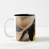 Tasse 2 Couleurs Un teckel étant baigné (Gauche)